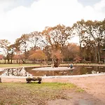 Bosque Maxico De Bonxe Camping Outeiro de Rei