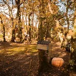 Bosque Maxico De Bonxe Camping