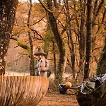 Bosque Maxico De Bonxe Camping Outeiro de Rei