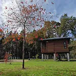 Bosque Maxico De Bonxe Outeiro de Rei