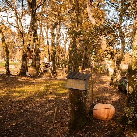 Bosque Maxico De Bonxe אתר קמפינג