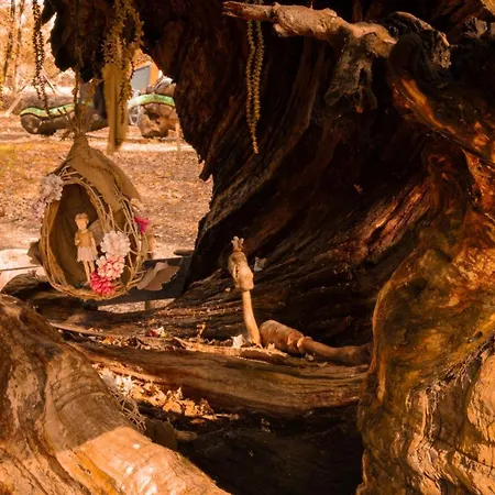 אתר קמפינג Bosque Maxico De Bonxe Outeiro de Rei