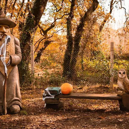 Bosque Maxico De Bonxe * Outeiro de Rei