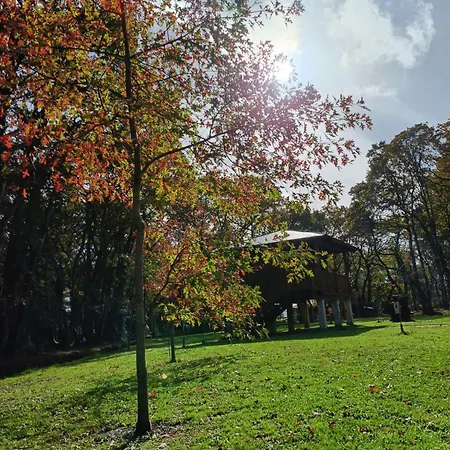 Bosque Maxico De Bonxe Campingplads *