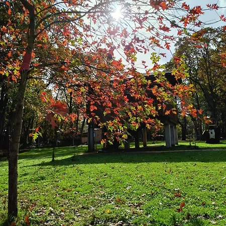 Campingplads Bosque Maxico De Bonxe