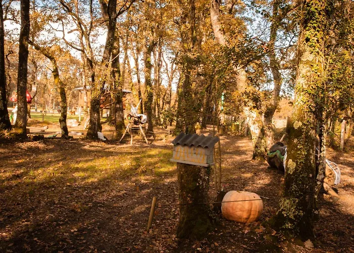 Bosque Maxico De Bonxe Camping