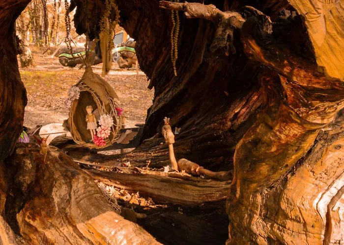 Camping Bosque Maxico De Bonxe Outeiro de Rei