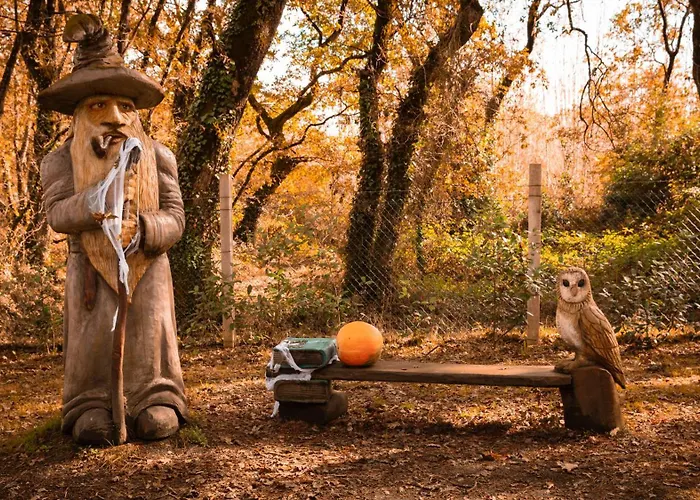 Bosque Maxico De Bonxe * Outeiro de Rei