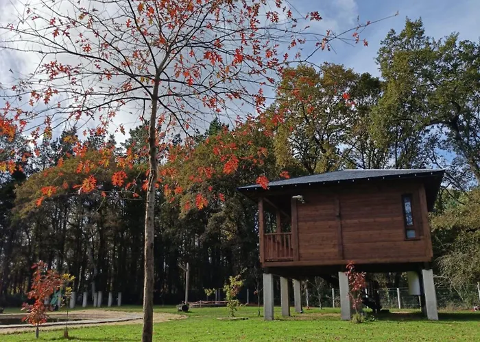 Bosque Maxico De Bonxe Outeiro de Rei