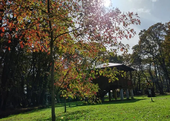 Bosque Maxico De Bonxe Camping *